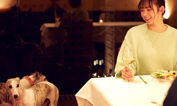 写真：愛犬と楽しむ食事