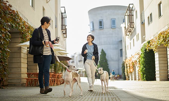 写真：街も森も散歩コース