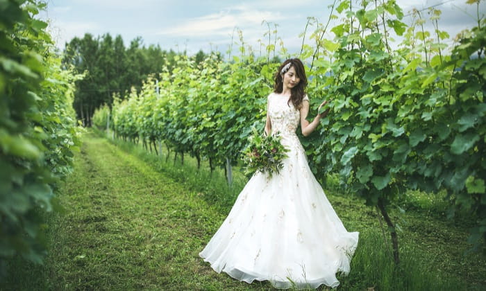 写真:ブドウ畑に佇むウエディングドレス姿の新婦