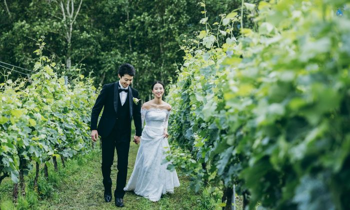 写真:プランのイメージ